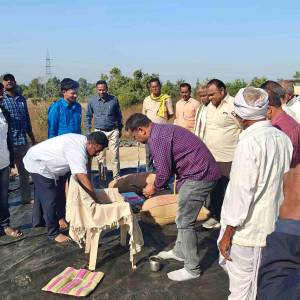 IMG20250103094837_original